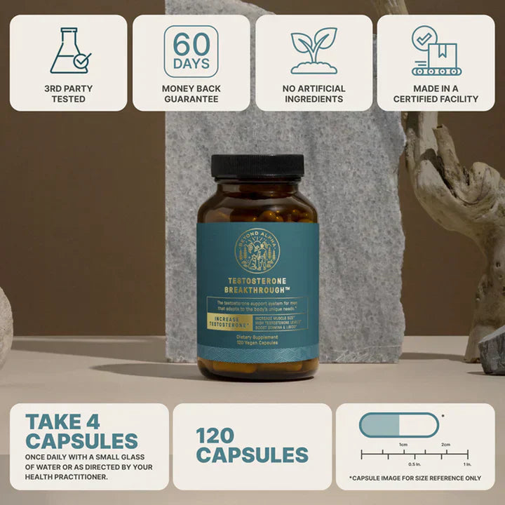 The Dream Body Stack