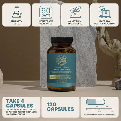 The Dream Body Stack