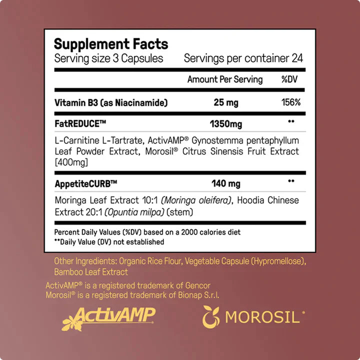 The Dream Body Stack