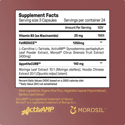 The Dream Body Stack