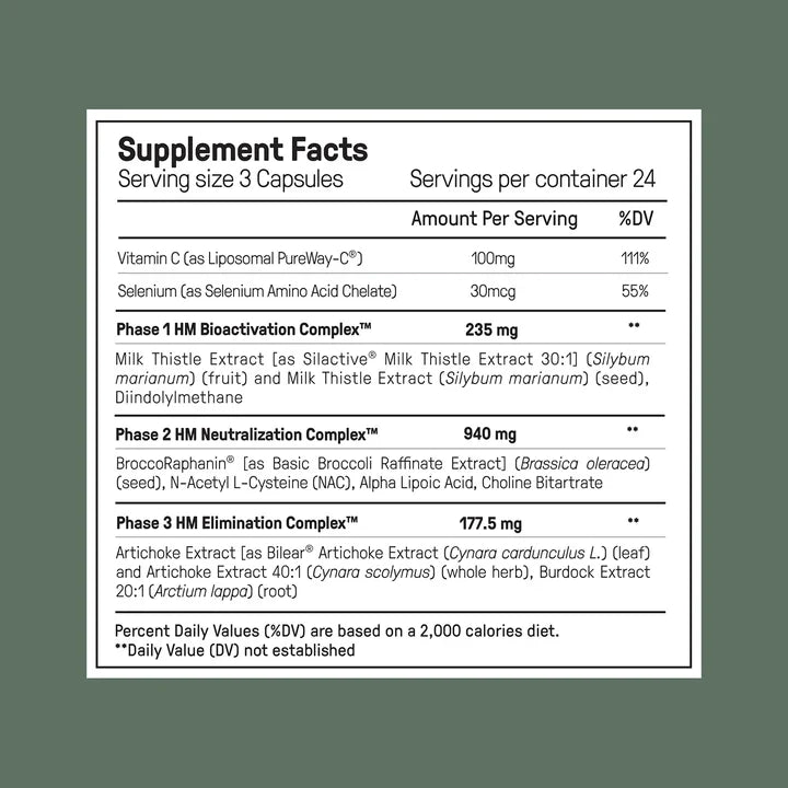 The Dream Body Stack